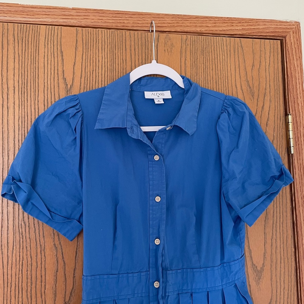 Classic Button-Front Blue Midi Shirt Dress - Picture 5 of 6